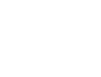 Логотип компании Аладдин Р.Д. белый (английский)